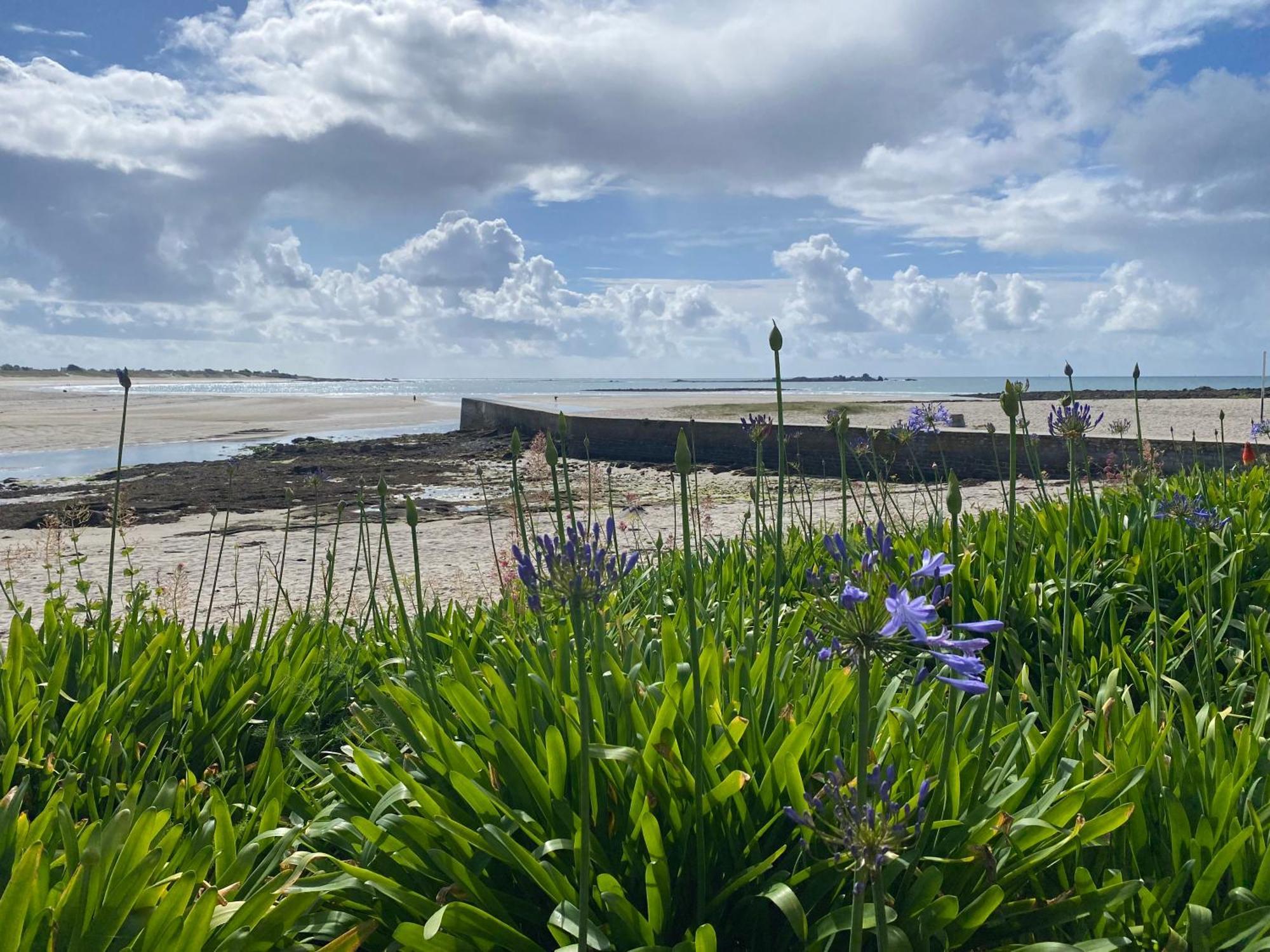Villa Ster Et Mer Plobannalec Exteriér fotografie